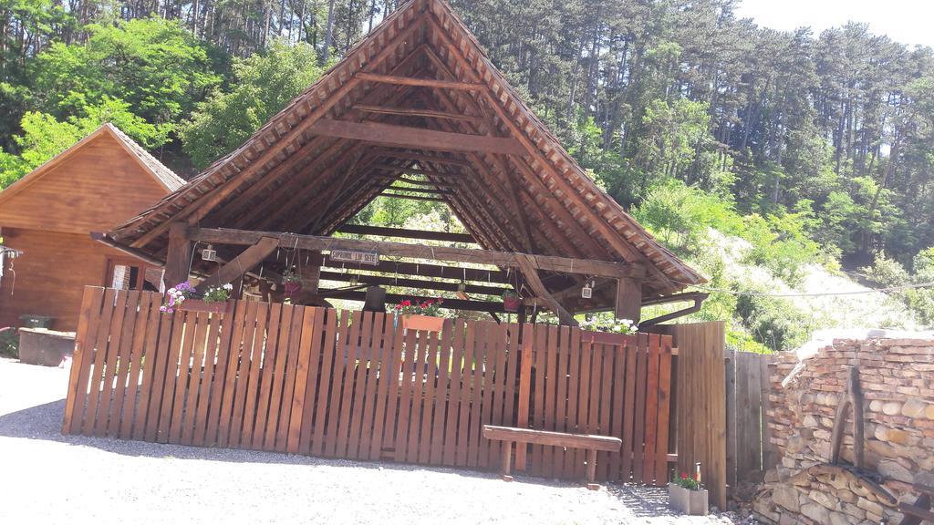Saschiz Pension Cartref מראה חיצוני תמונה