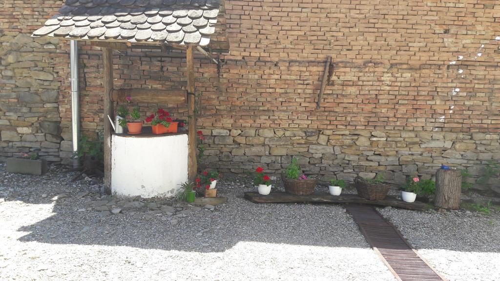 Saschiz Pension Cartref מראה חיצוני תמונה