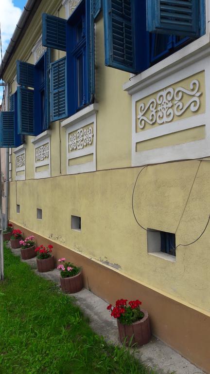 Saschiz Pension Cartref מראה חיצוני תמונה